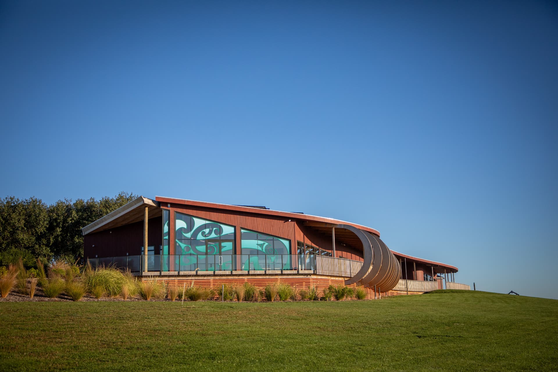 Murihiku Marae on its grassy rise under a clear blue sky